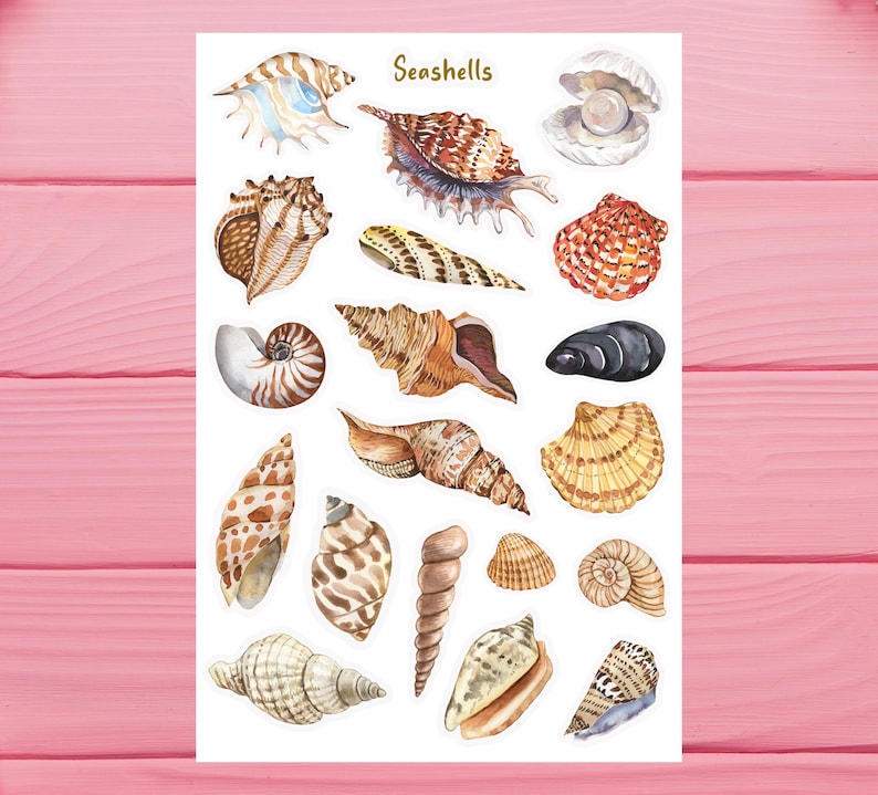 May include: A sheet of seashell stickers with a variety of shapes, sizes, and colors. The stickers are arranged in rows and columns on a white background. The text "Seashells" is printed in gold at the top of the sheet.