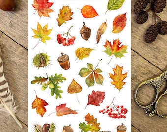 Autumn Leaves Sticker Sheet, Autumn Woodland, Autumn Nature Stickers, Autumn Forest Stickers, Autumn Aesthetic Stickers, Fall Leaf Stickers