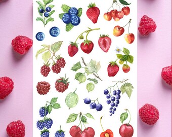Puede incluir: Una hoja de pegatinas con ilustraciones de acuarela de frutas de verano, incluyendo fresas, frambuesas, arándanos, cerezas y moras. La hoja está titulada "Summer Fruits".