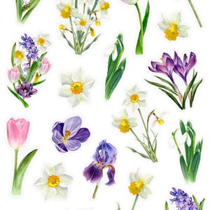 Gardening Sticker Sheet, Garden Planner Stickers, Spring Season Sticker Sheet, Spring Garden Sticker Sheet, Cottagecore Garden Stickers image 4