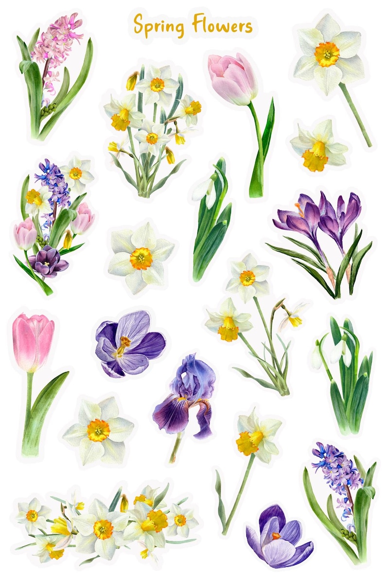 Gardening Sticker Sheet, Garden Planner Stickers, Spring Season Sticker Sheet, Spring Garden Sticker Sheet, Cottagecore Garden Stickers image 4
