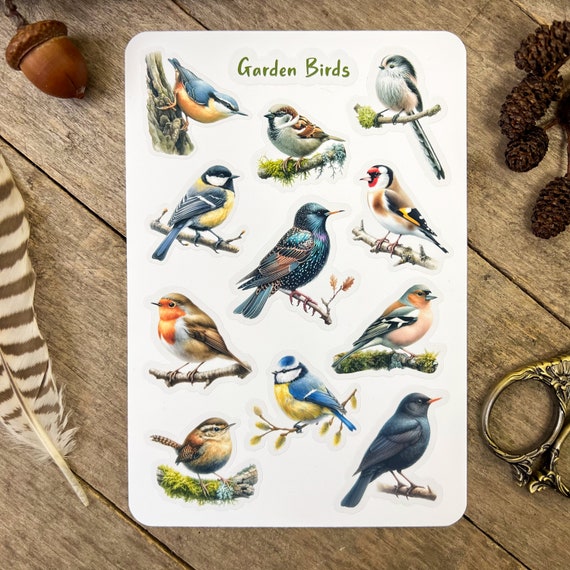 Garden Birds Sticker Sheet, Stickers for Nature Journal, Bird Watching Log Book Stickers, Gift for Nature Lover, Gift for Wildlife Lover