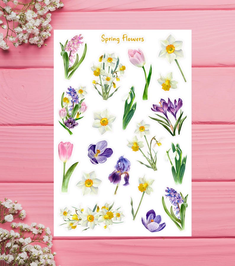 May include: A sheet of stickers featuring various spring flowers, including white daffodils, purple crocuses, pink tulips, and blue irises. The sheet is titled "Spring Flowers".