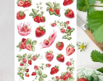 Strawberry Sticker Sheet, Fruit Stickers, Strawberry Summer Planner Stickers, Strawberry Stickers, Cute Bujo Stickers, Junk Journal Stickers