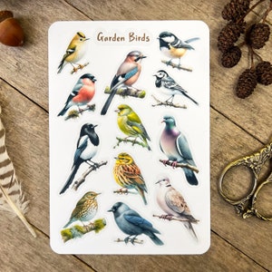 Pu&ograve; includere: Un foglio di adesivi con 12 diversi uccelli da giardino. Gli adesivi sono stampati su carta trasparente e lucida con un bordo bianco. Gli uccelli sono raffigurati in modo realistico e includono un ghiandaia azzurra, un pettirosso, una gazza, una colomba, un passero, un cardellino, un verdone, un fringuello, un scricciolo, un merlo, un colombo selvatico e una cincia.
