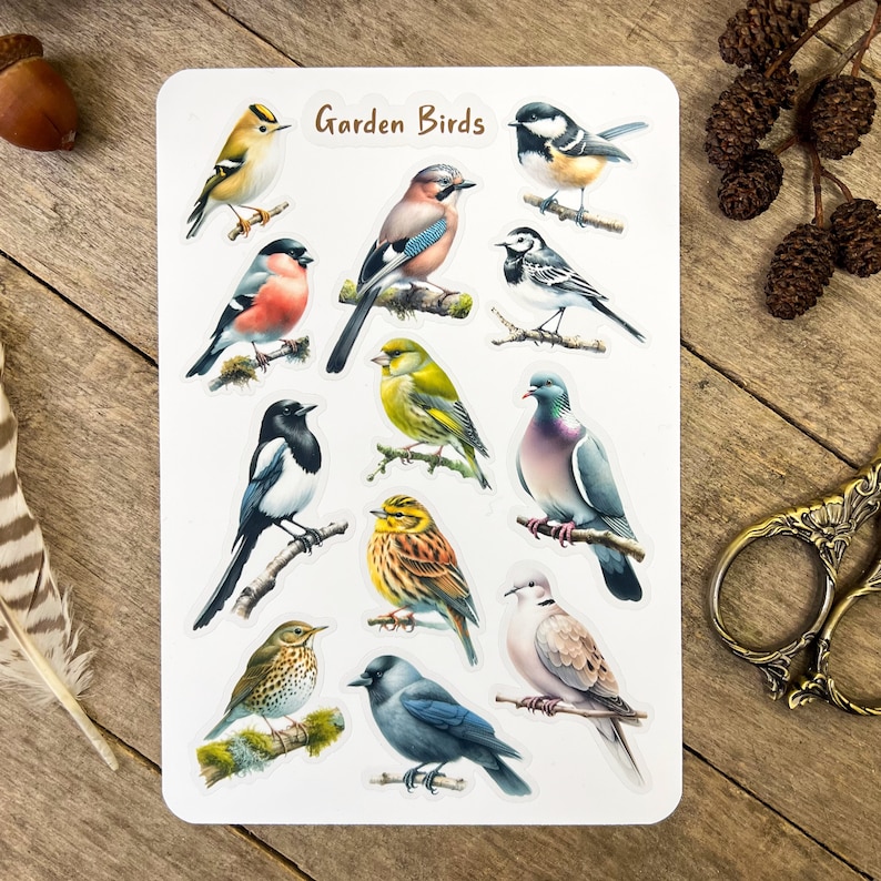 Pu&ograve; includere: Un foglio di adesivi con 12 diversi uccelli da giardino. Gli adesivi sono stampati su carta trasparente e lucida con un bordo bianco. Gli uccelli sono raffigurati in modo realistico e includono un ghiandaia azzurra, un pettirosso, una gazza, una colomba, un passero, un cardellino, un verdone, un fringuello, un scricciolo, un merlo, un colombo selvatico e una cincia.