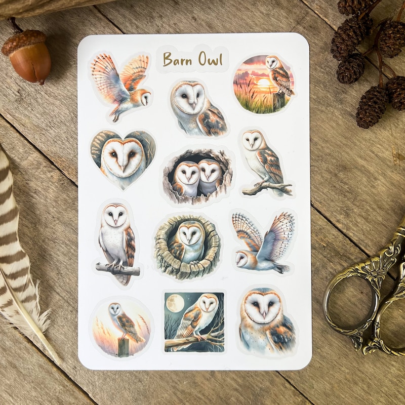 Owl Barn Gifts Uk - 60+ Gift Ideas for 2026
