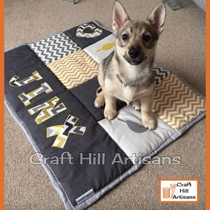 May include: A grey and yellow patchwork dog bed with the name "Jinx" embroidered in gold on it. A small, light brown dog is sitting on the bed, looking at the camera.