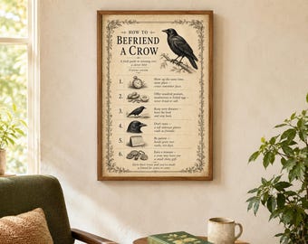 Come fare amicizia con un corvo (Poster / Stampa artistica di un corvo)