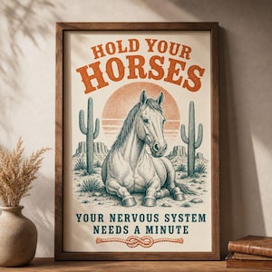 Op de afbeelding: Een ingelijste kunstdruk met een paard dat rust in een woestijnlandschap met cactussen en een zonsondergang. De tekst bovenaan is HOLD YOUR HORSES en onderaan YOUR NERVOUS SYSTEM NEEDS A MINUTE, met een touwtekening onder de tekst.