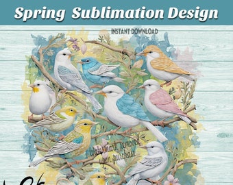 Spring Birds Sublimation Design, Spring Sublimation, Colorful Spring Birds, Digital Design, Sublimation PNG Colorful Birds, DIY Design