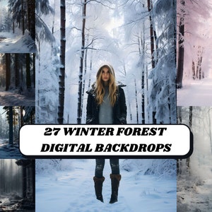 WINTER BACKDROPS, 27 Snow Forest Digital Backgrounds, Photoshop Backdrops, Christmas Photography, Kids Photoshoot, Family Photo Overlay, Png