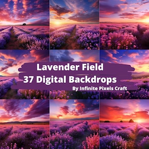 LAVENDER FIELD BACKDROPS, 37 Digital Background, Maternity Photoshoot, Kids Photography, Fine Art Textures, Purple Flowers Backdrop, Png