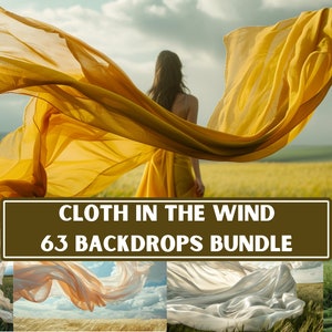 Puede incluir: Un paquete de 63 fondos digitales que presentan telas fluidas en varios colores y texturas. Los fondos son perfectos para fotógrafos y diseñadores gráficos que buscan crear imágenes únicas y etéreas.
