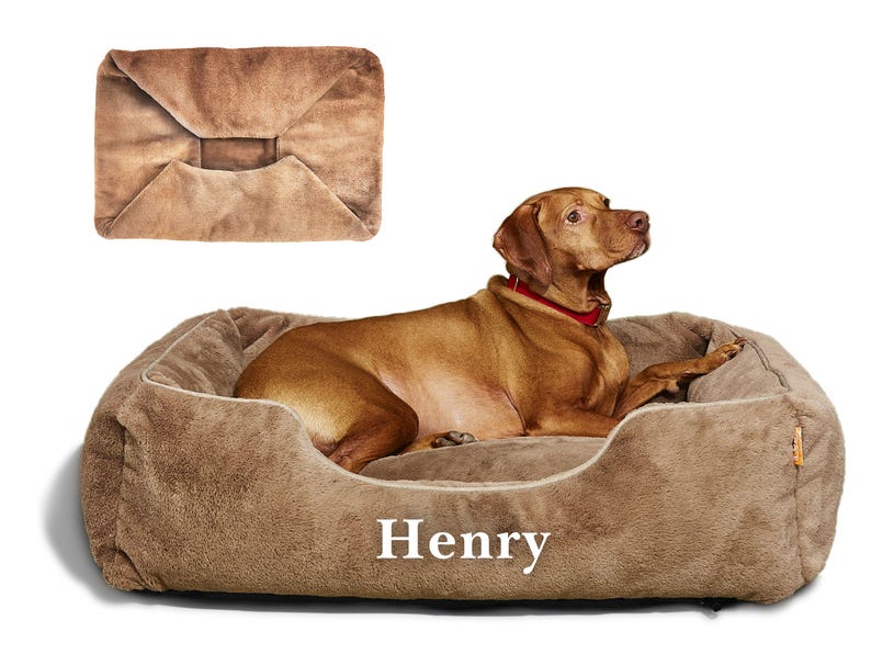 Dog reclining on light brown faux fur personalized dog bed cover with embroidered name Henry; washable and removable, this custom dog bed accessory adds comfort and style to modern dog beds or pet furniture, making it a cozy upgrade or thoughtful pet gift.