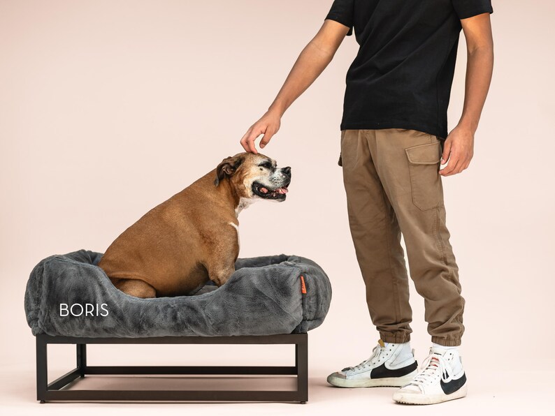 Dog being guided onto dark grey raised dog bed with black elevated dog bed frame. Orthopedic dog bed design relieves pressure while washable dog bed cover makes cleaning simple. This raised dog bed platform functions as a dog window perch, modern dog bed, or extra large dog bed. Plush bolsters create a custom dog pillow feel, making this the perfect washable dog bed for big dogs, small dogs, or medium dogs.