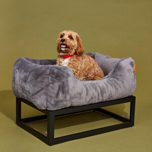 Small dark grey dog bed with black elevated dog bed frame, featuring removable washable dog bed cover. Raised dog bed works as orthopedic dog bed for medium dogs or large dogs, plus doubles as a modern dog bed or dog sofa. Plush dog bed bolsters act like a custom dog pillow for added comfort. Durable washable dog bed design makes this elevated pet bed ideal as a platform dog bed or stylish dog bed furniture.