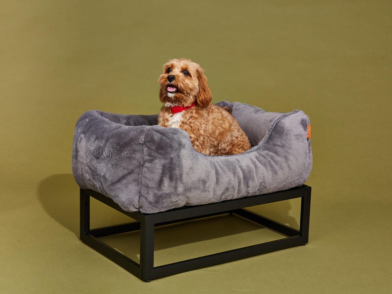 Small dark grey dog bed with black elevated dog bed frame, featuring removable washable dog bed cover. Raised dog bed works as orthopedic dog bed for medium dogs or large dogs, plus doubles as a modern dog bed or dog sofa. Plush dog bed bolsters act like a custom dog pillow for added comfort. Durable washable dog bed design makes this elevated pet bed ideal as a platform dog bed or stylish dog bed furniture.
