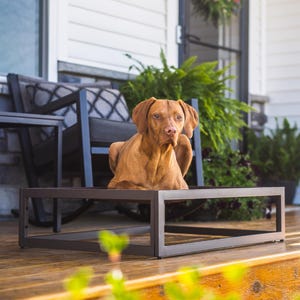 Elevated Outdoor Dog Cot – Modern Iron Frame Pet Bed