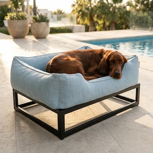 Elevated Dog Bed with Washable Cover: Modern Raised Pet Bed