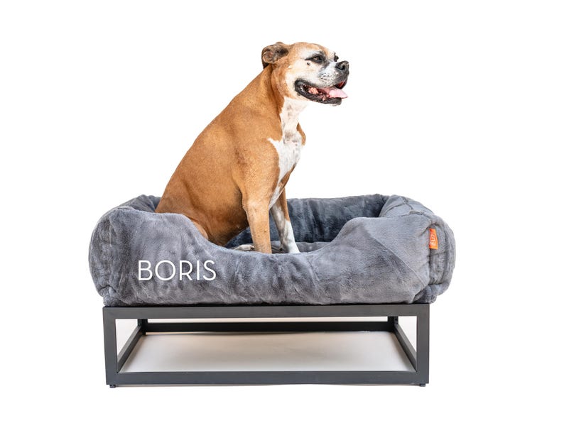 Dark grey elevated dog bed with black raised dog bed frame and plush faux fur washable dog bed cover. This orthopedic dog bed works as a dog window perch, platform dog bed, or modern dog bed for large dogs. Raised dog bed design improves airflow and comfort while washable dog bed cover makes cleaning easy. Perfect as a big dog bed, extra large dog bed, or stylish custom dog bed for pets.