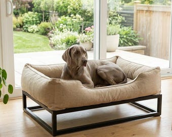 Elevated Dog Bed with Washable Cover: Modern Raised Pet Bed