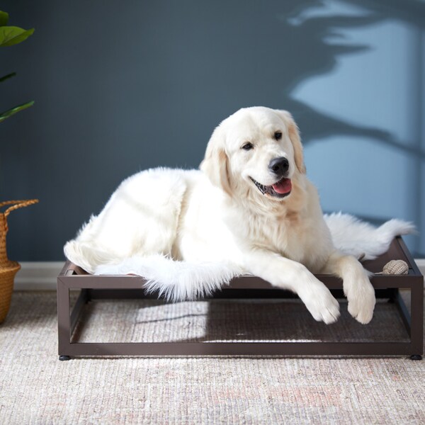 The Up Pup Elevated Dog Bed | Modern Dog Bed | Raised Dog Bed | Elevated Dog Beds for Large, Medium and Small Dogs | Free Shipping USA