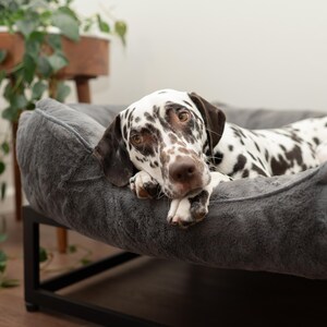Orthopedic raised dog bed in dark grey with washable faux fur dog bed cover and sturdy black elevated dog bed frame. Perfect as a modern dog bed, dog window seat, or platform dog bed for large dogs. This washable dog bed is designed with bolstered sides for a custom dog pillow feel. Elevated dog bed improves airflow, relieves pressure, and provides lasting comfort for all sizes from medium dog bed to extra large dog beds.