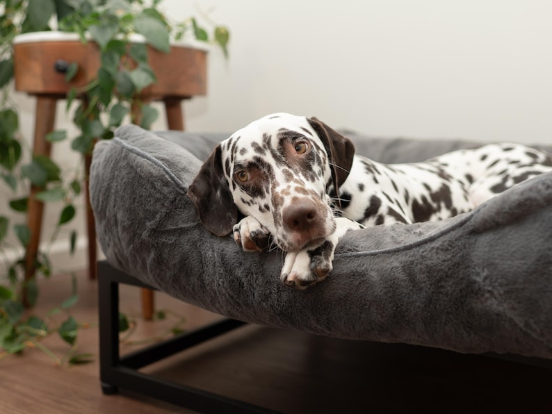 Orthopedic raised dog bed in dark grey with washable faux fur dog bed cover and sturdy black elevated dog bed frame. Perfect as a modern dog bed, dog window seat, or platform dog bed for large dogs. This washable dog bed is designed with bolstered sides for a custom dog pillow feel. Elevated dog bed improves airflow, relieves pressure, and provides lasting comfort for all sizes from medium dog bed to extra large dog beds.