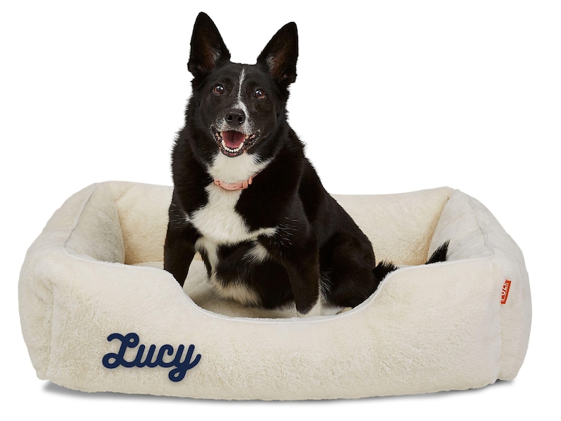 Black and white dog on cream faux fur personalized dog bed cover embroidered with the name Lucy; removable, washable, and soft, this custom dog bed accessory makes a cozy calming dog bed and doubles as stylish pet furniture for homes.