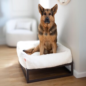 German Shepherd on white dog bed in an elevated platform design. Soft faux fur washable dog bed cover in white with brown dog bed frame. Modern dog bed works as puppy bed, dog sofa, or dog crate bed. Raised dog bed design improves airflow and reduces joint stress. Personalized dog bed option available for pet owners seeking a custom dog bed.