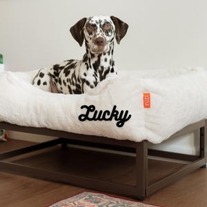May include: A white dog bed with a brown metal frame. The bed is elevated and has a white, fluffy cushion. The dog bed is personalized with the name "Lucky" in black cursive lettering. The bed has a small orange tag with the word "FUZZY" on it.