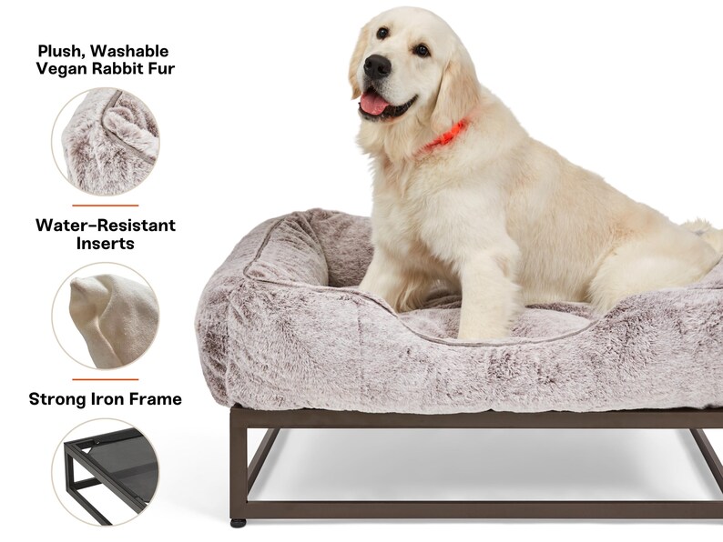 Golden Retriever on a large dog bed with orthopedic support. Raised dog bed frame in brown metal with soft faux fur washable cover in white. Elevated dog bed platform doubles as dog window perch or dog window seat. Washable dog bed design ensures long-term use. Custom dog bed available for personalization. Modern dog bed combines comfort and home-friendly style.