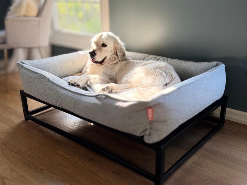 Elevated Dog Bed With Washable Cover: Modern Raised Pet Bed - Etsy