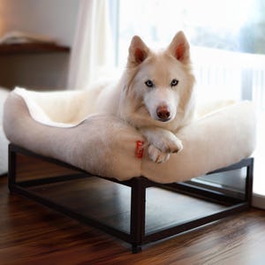 White Dog on a personalized pet bed in soft faux fur with raised dog bed frame. Washable dog bed design includes removable cover. Custom dog bed functions as elevated dog bed, raised dog bed, or modern dog bed platform. Large dog bed perfect for dog bed large dogs or dog bed extra large breeds.