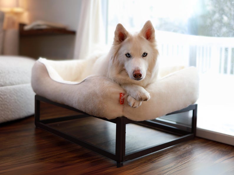White Dog on a personalized pet bed in soft faux fur with raised dog bed frame. Washable dog bed design includes removable cover. Custom dog bed functions as elevated dog bed, raised dog bed, or modern dog bed platform. Large dog bed perfect for dog bed large dogs or dog bed extra large breeds.