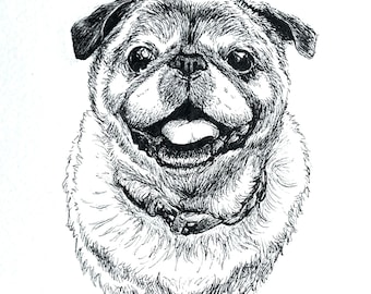 Ink Drawing Pet Portrait