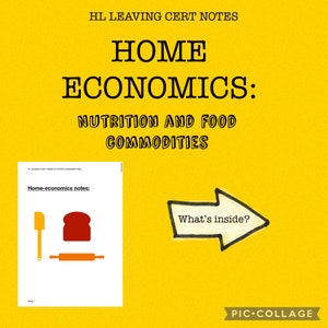 HOME ECONOMICS: HL leaving cert notes// nutrition + food