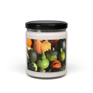 Gourds and Pumpkins Thanksgiving Scented Soy Candle, 9oz