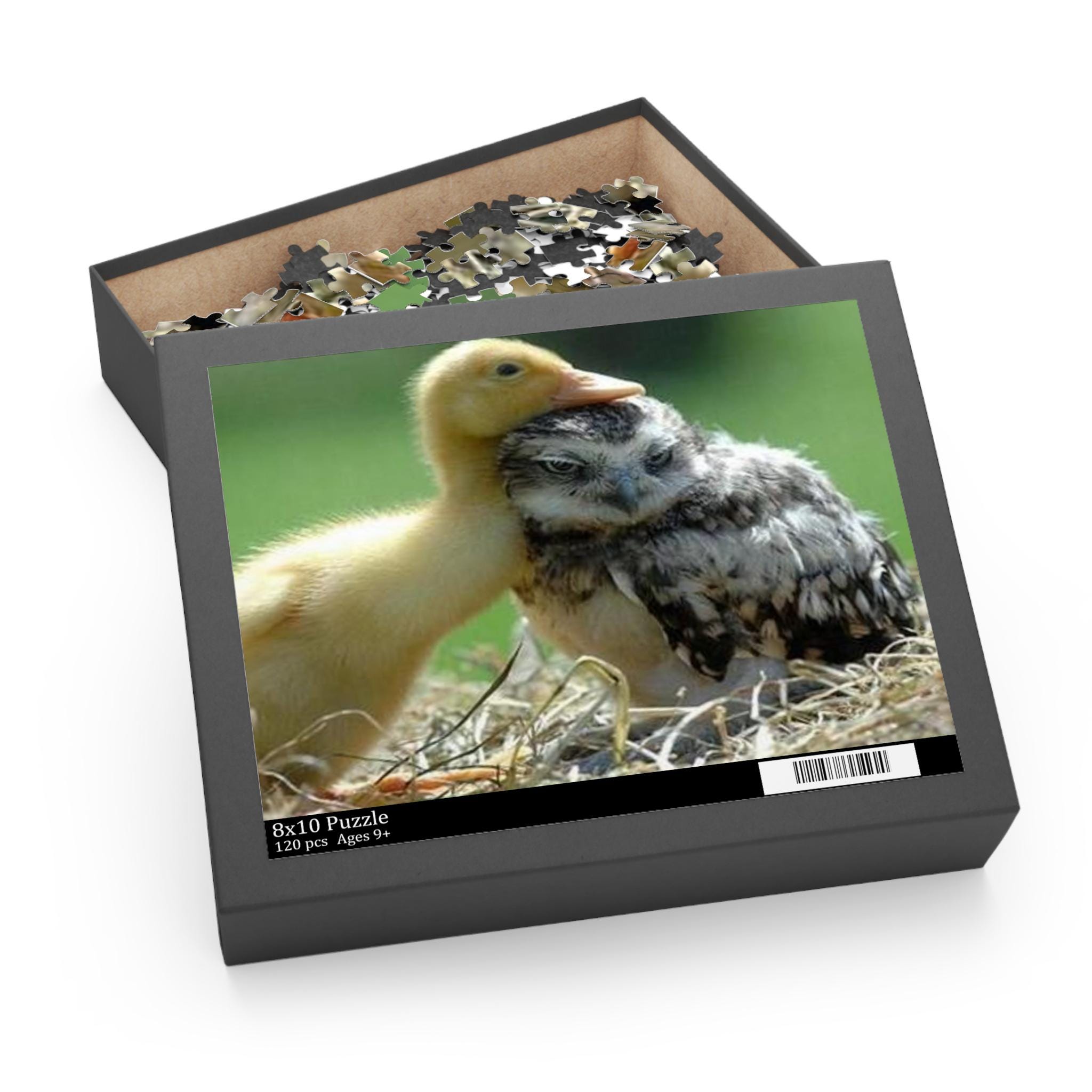 Unlikely Animal Friends Duckling with Baby Owl Puzzle (120, 252, 500-Piece)