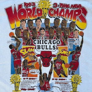 Bulls 1993 - Etsy