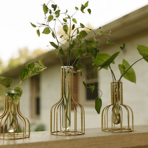 Estación de propagación de plantas doradas: Juego de 3 jarrones modernos