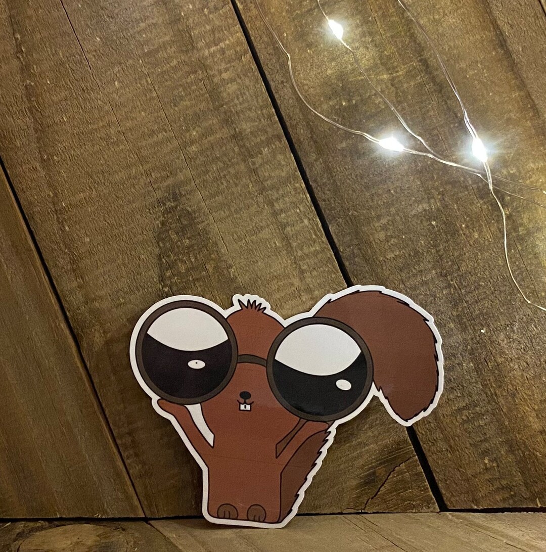 Cute, Waterproof Squirrel Sticker - Etsy