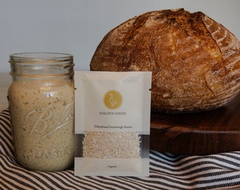 Masa madre deshidratada orgánica, pan de masa madre, kit para hacer pan, masa madre con agua filtrada, kit para hacer masa madre, panificación