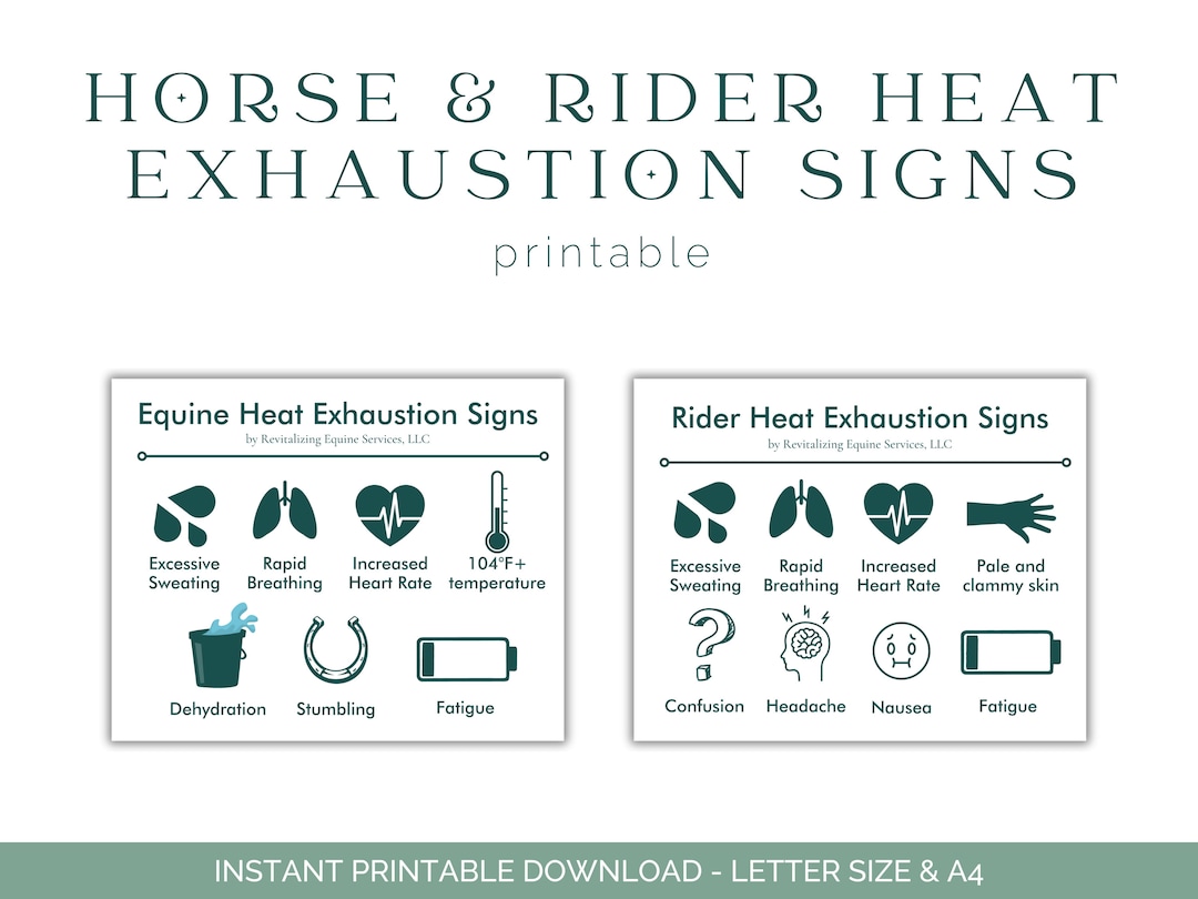 Horse and Rider Heat Exhaustion Signs Equestrian Health Care - Etsy