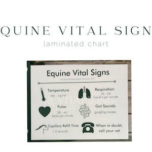 Signes vitaux équins - Soins de santé équins - Santé équine - Éducation équine - Graphique plastifié