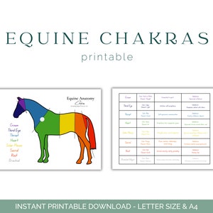 Op de afbeelding: Printbare kaart die de locatie van de zeven chakra's op het lichaam van een paard laat zien. De chakra's zijn kleurgecodeerd en gelabeld met hun bijbehorende namen: Kroonchakra, Derde Oog, Keelchakra, Hartchakra, Zonnevlecht, Sacraalchakra en Wortelchakra. De kaart bevat ook een tabel met informatie over elke chakra, inclusief de locatie, het element, de kleur en de bijbehorende eigenschappen.
