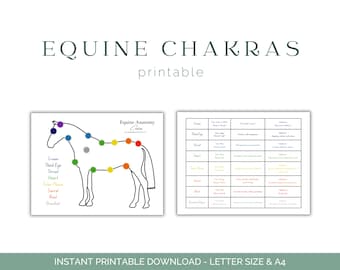 Equine Chakras - Horse Chakras - Equine Energy Work - Equine Bodyworker - Digital Downloadable - Spiritual Horse - Equine Healing