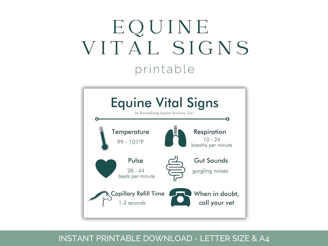 Horse Vital Signs Equine Health Care Signs - Etsy