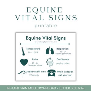 May include: Printable chart with green icons and text listing normal vital signs for horses, including temperature, pulse, respiration, gut sounds, and capillary refill time. The chart also includes the text "When in doubt, call your vet".